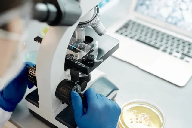 Scientist in gloves examining a specimen under a microscope in a clinical microbiology laboratory