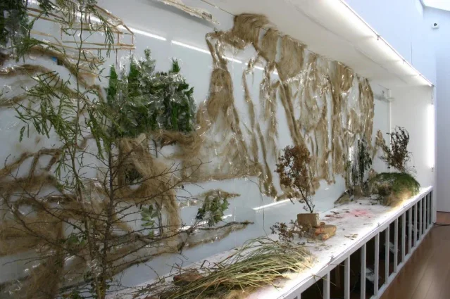 一件装置的背面:枯枝、麻丝、苔藓与塑料膜贴在白色玻璃板前,下方有一条白色台架