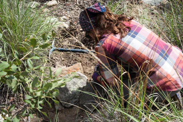 Ella Marshall builds an erosion-control structure off the Crystal Spring Trail on Mount Lemmon.
