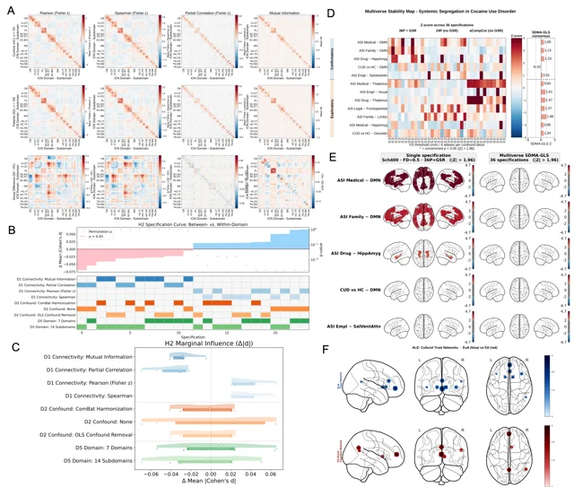 Brain Researcher 工具调用结果