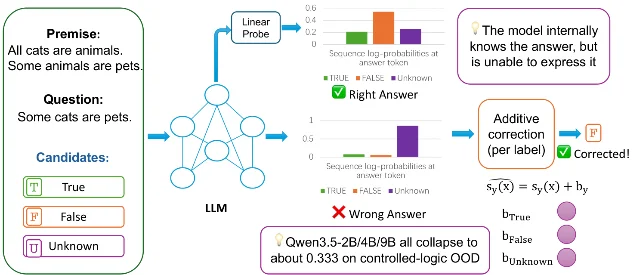 Collapsed sequence scores 的读出瓶颈