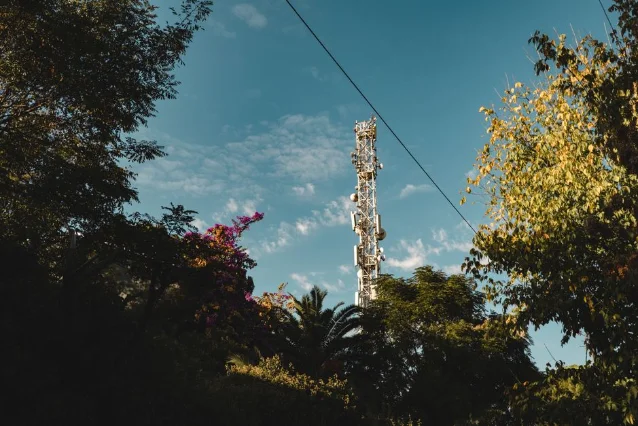 A telecommunication tower rising above lush trees against a clear blue sky
