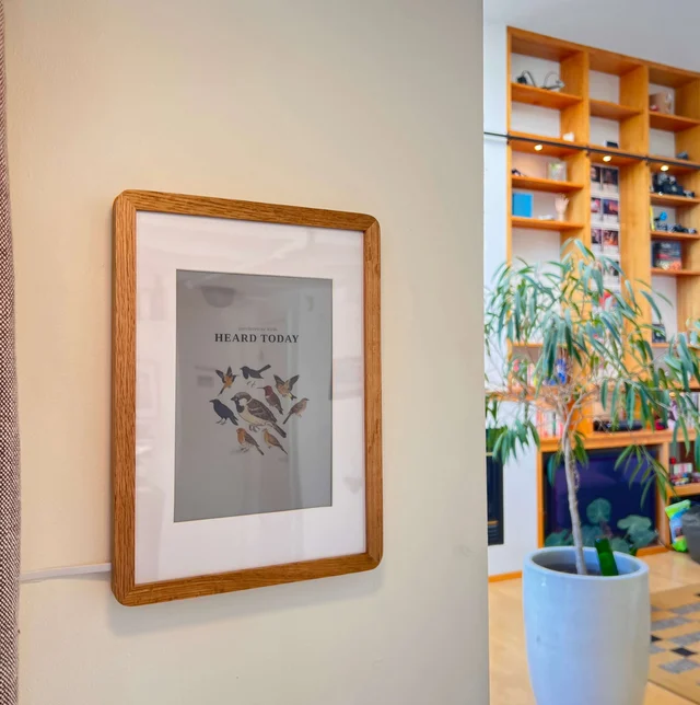 A framed e-ink display mounted on a wall shows a recent bird collage in a bright room.