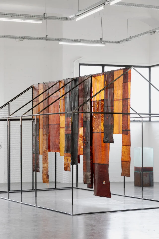 A greenhouse-like metal frame holding hanging strips of orange, rust and black microbial skin in a bright gallery