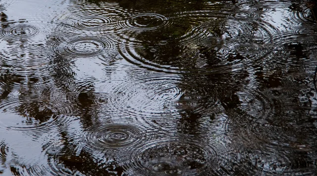 雨滴落在水面形成多个涟漪圈，彼此交叠出复杂的干涉花纹