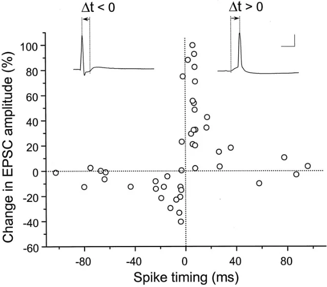 Bi and Poo timing curve