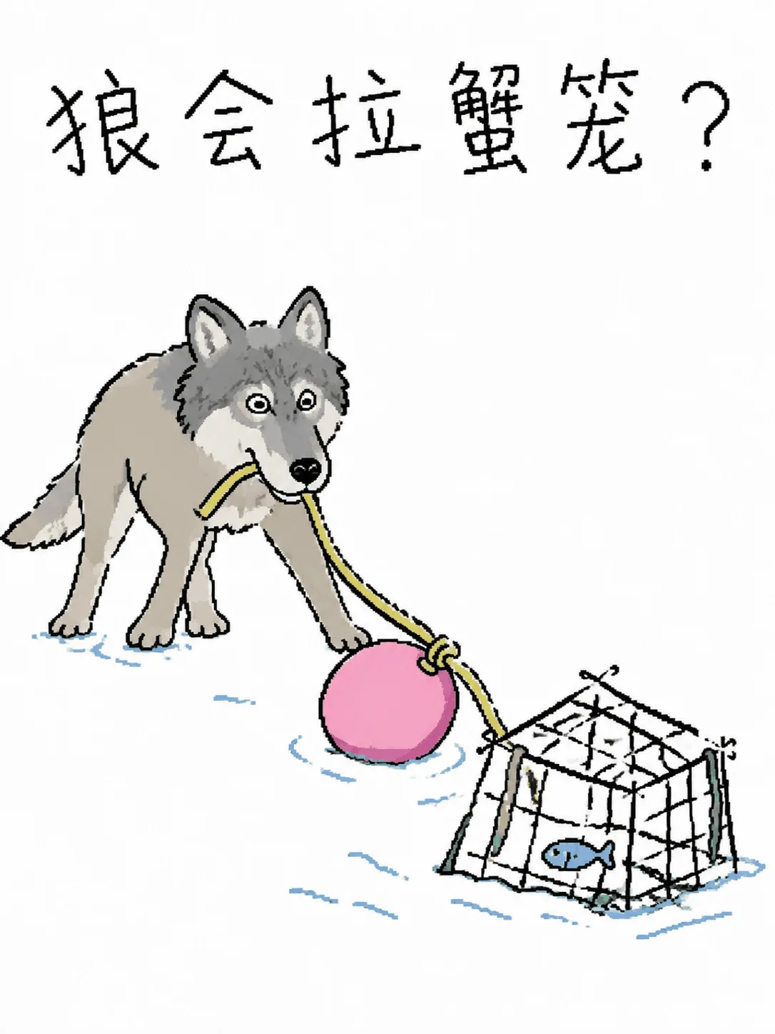 狼会拉蟹笼？