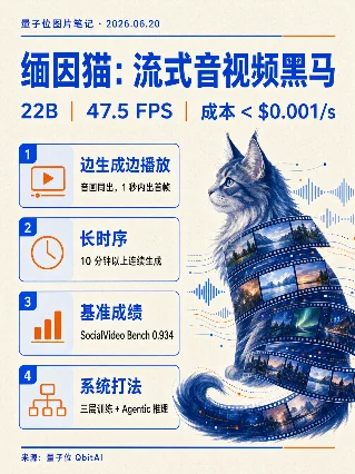 缅因猫：流式音视频黑马