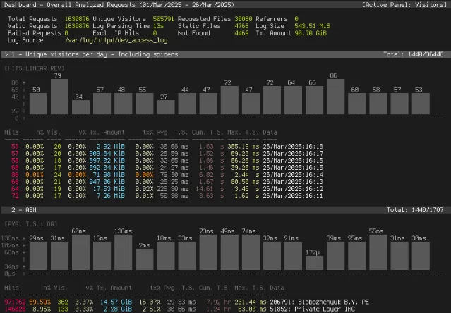 GoAccess HTML dashboard showing analyzed request stats including unique visitors, log size, response codes, referrers, and top URLs