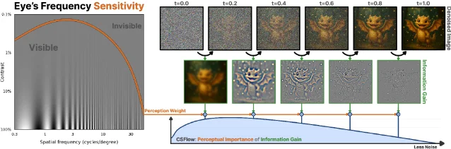 CSFlow overview: human Contrast Sensitivity Function (left) matched to information gain across flow matching reverse steps (right), with example denoising frames showing perceptual weight assignment