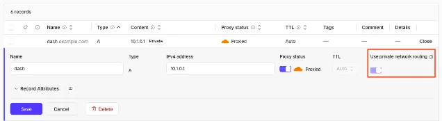 DNS record editor showing the "Use private network routing" toggle on an A record pointing to 10.1.0.1