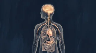 你的直觉，其实是生理学