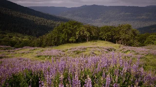 Three Trails Worth the Drive This Week — May 11–17