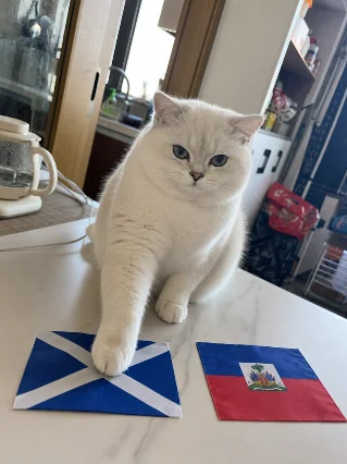 🏴󠁧󠁢󠁳󠁣󠁴󠁿 苏格兰等了28年，贴贴给了它0.3秒