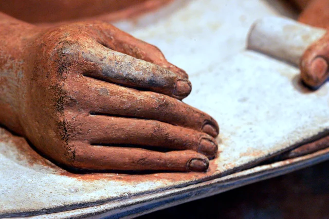 Detail of the Seated Scribe's hands: the left holding the half-unrolled papyrus scroll, the right fingers curled in the writing grip, with carefully incised fingernails visible