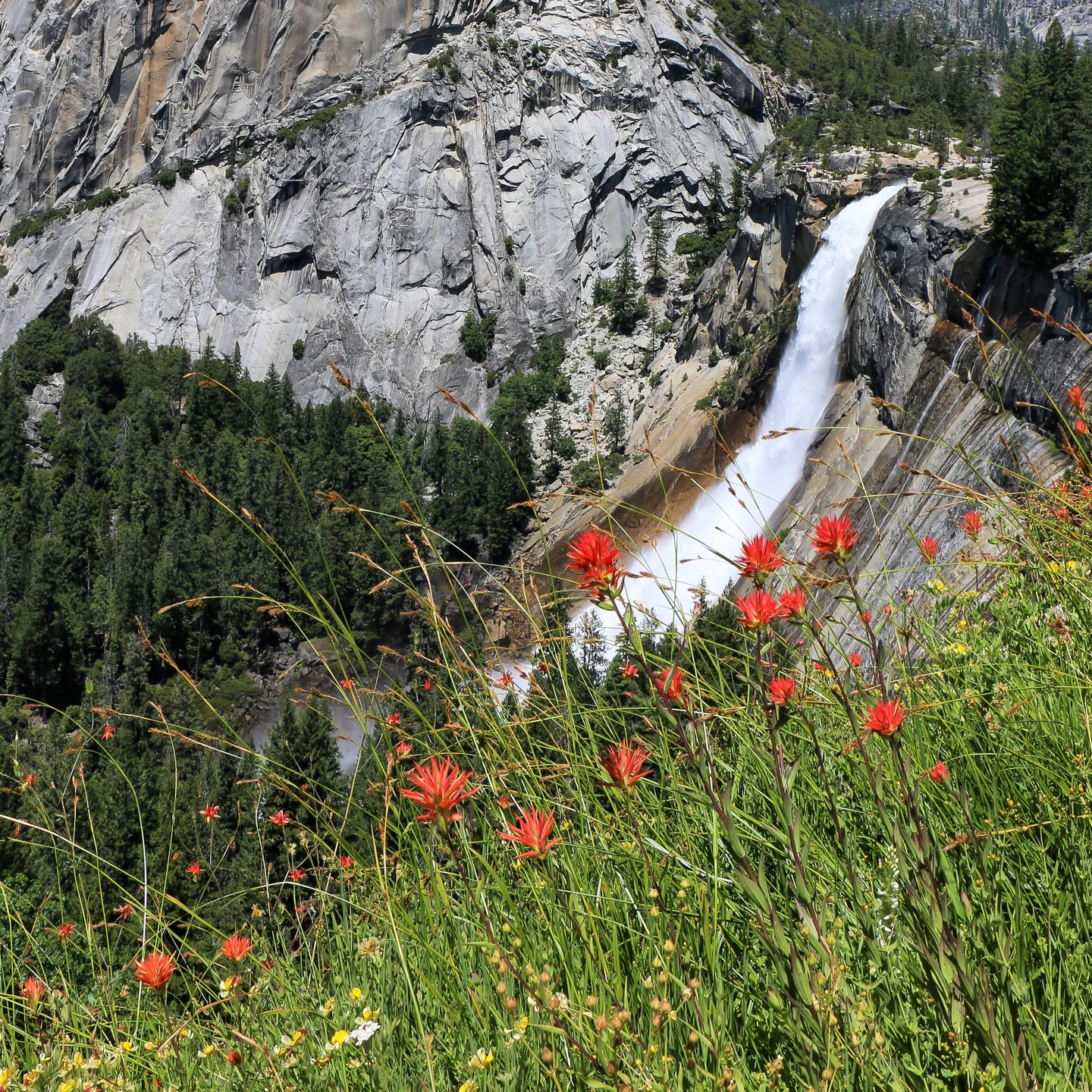 Three Trails Worth the Drive This Week — May 20–27