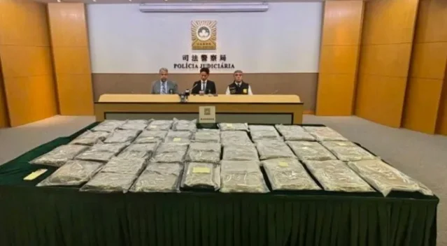 Three Polícia Judiciária officials seated at a press conference table; in the foreground, approximately 60 transparent sealed bags of cannabis are arranged across a large green-covered table