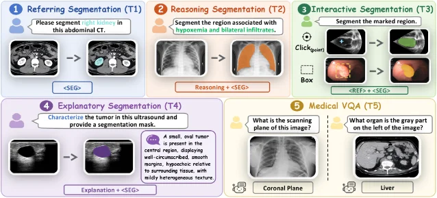 MedPixel 的任务接口与统一架构