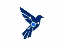 Twitter AI 长文精选