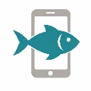咏鱼 iPhone 17 捩漏雷达