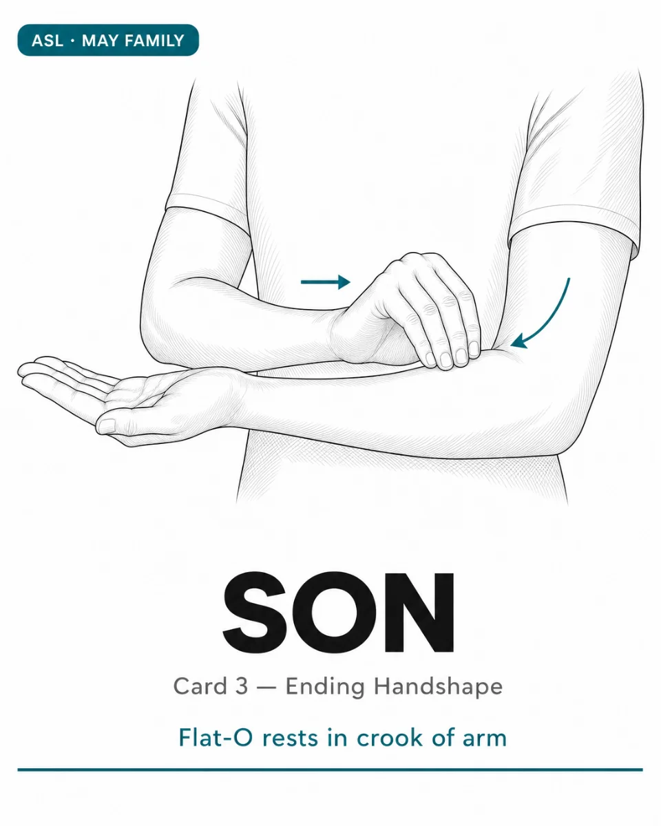 ✋ Sign of the Day — SON
