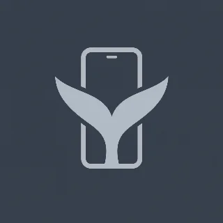 咸鱼 iPhone 17 捡漏