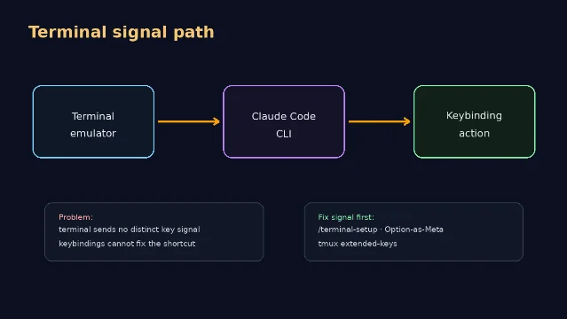 Terminal signal path