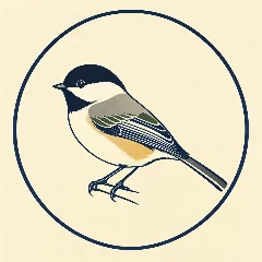 Daily Bird Card