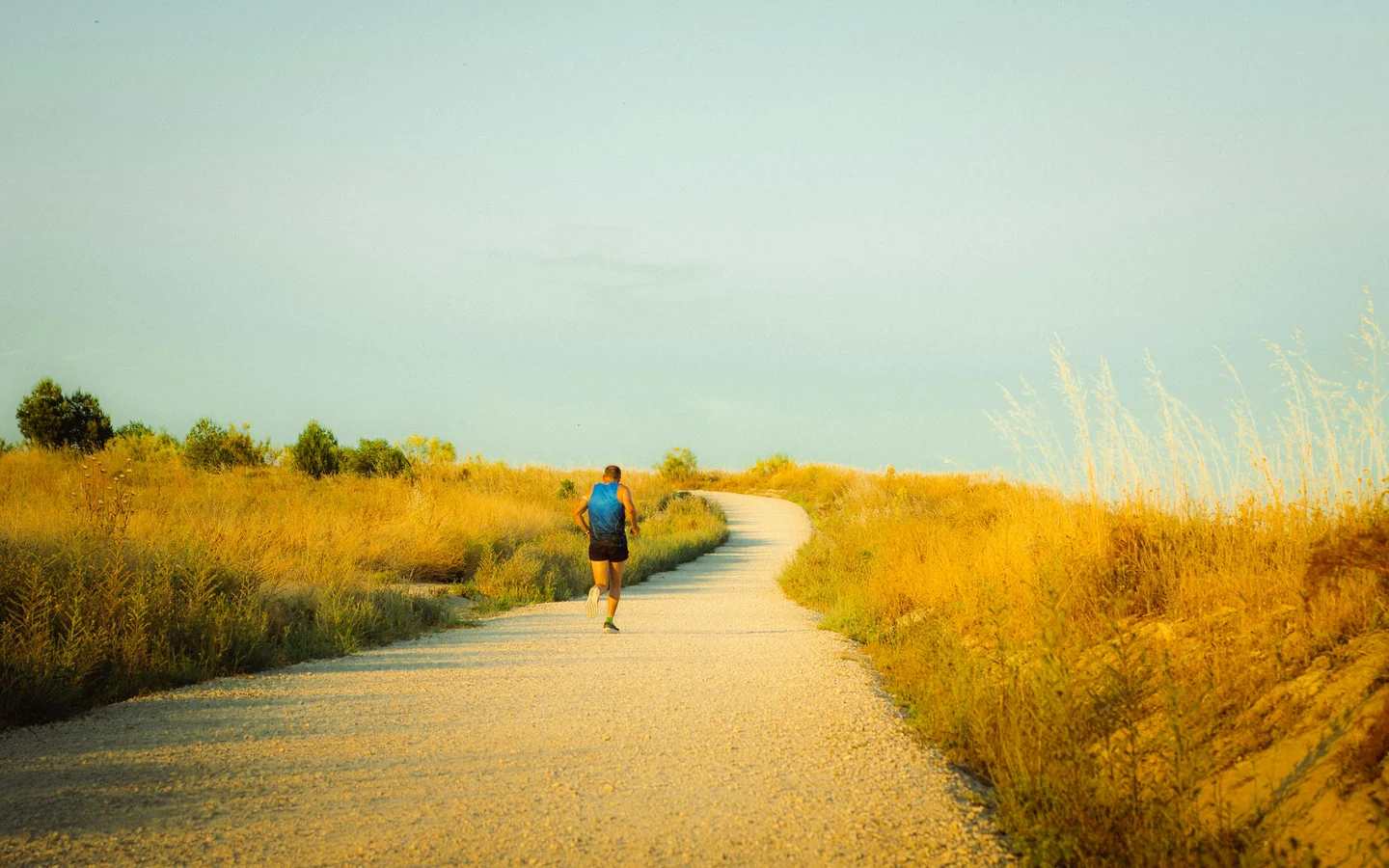 Tuesday Running — Hal Higdon Novice 5K, Week 2 Day 1