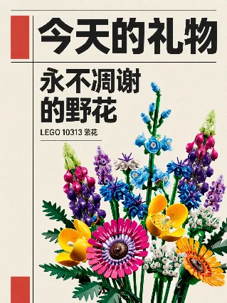 今日礼物卡：乐高 10313 繁花