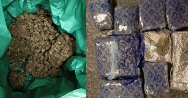 Six kilograms of hydroponic cannabis seized by Chennai airport's Air Intelligence Unit — loose dried buds in green wrapping alongside compressed brick packages
