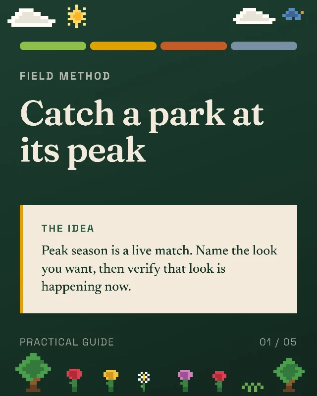 Catch a park at its peak