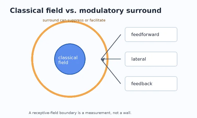 A circular classical receptive field inside a larger modulatory surround, with feedforward, lateral, and feedback arrows