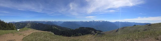 Alpine meadow from Hurricane Hill trail, June 14, 2026 — snow-capped Olympics behind, Strait of Juan de Fuca ahead