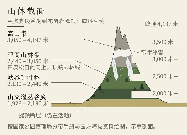 大提顿山山体截面示意图
