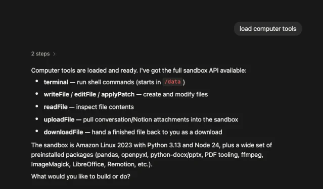 The full sandbox API loaded: five tools listed (terminal, writeFile, readFile, uploadFile, downloadFile) plus the preinstalled package list including pandas, openpyxl, ffmpeg, and LibreOffice