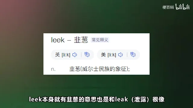 词典页面显示 leek 与韭葱的释义