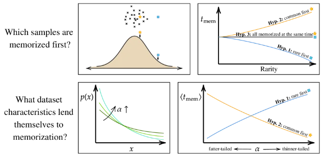 Diffusion model memorization dynamics: diagram comparing memorization timing for prototypical vs. atypical samples across training steps