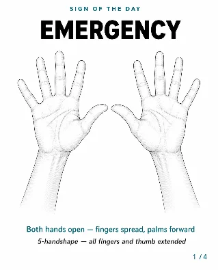 🚨 Sign of the Day — EMERGENCY