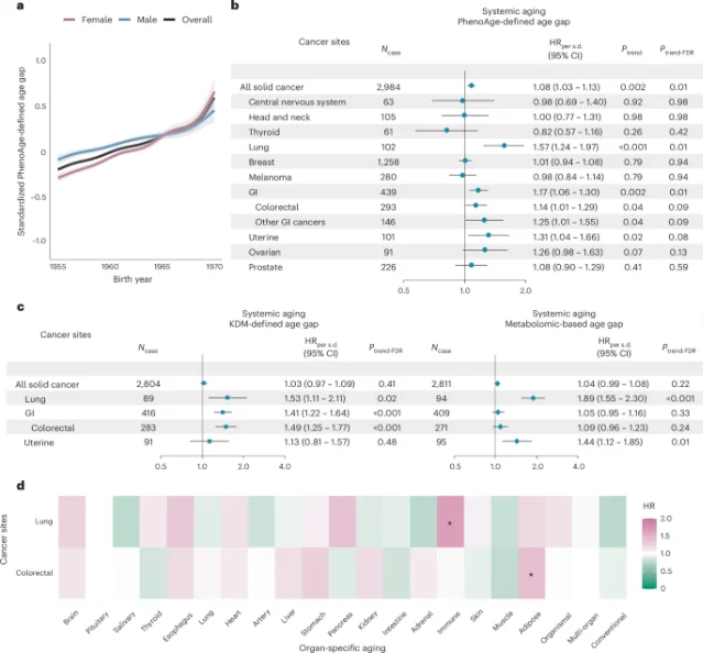 Forest plots (a–c) showing HRs for early-onset cancers by site under three aging clocks, and a heatmap (d) of organ-specific aging associations with lung and colorectal cancer risk
