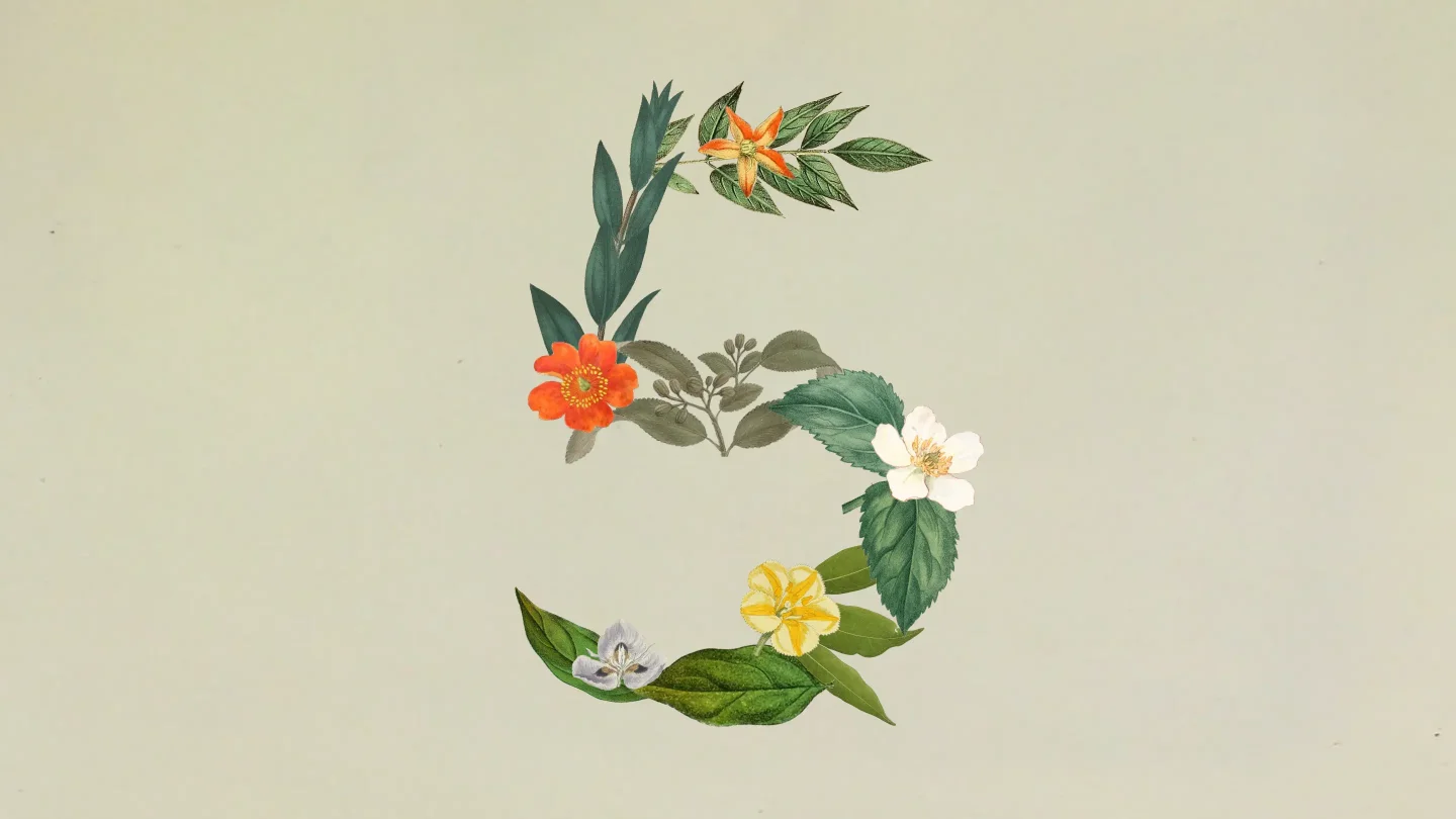 Claude Sonnet 5:Anthropic 把 Agent 主力模型推到 Opus 边上