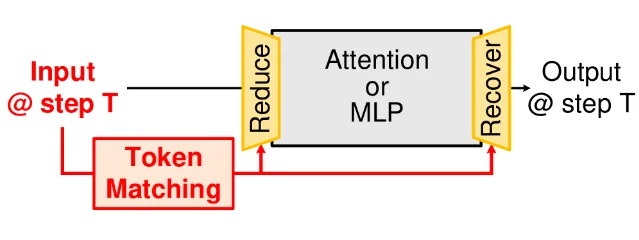 DiTo method comparison: (a) existing input-based token reduction vs (b) DiTo's output-based reduction using prior-step similarity as proxy