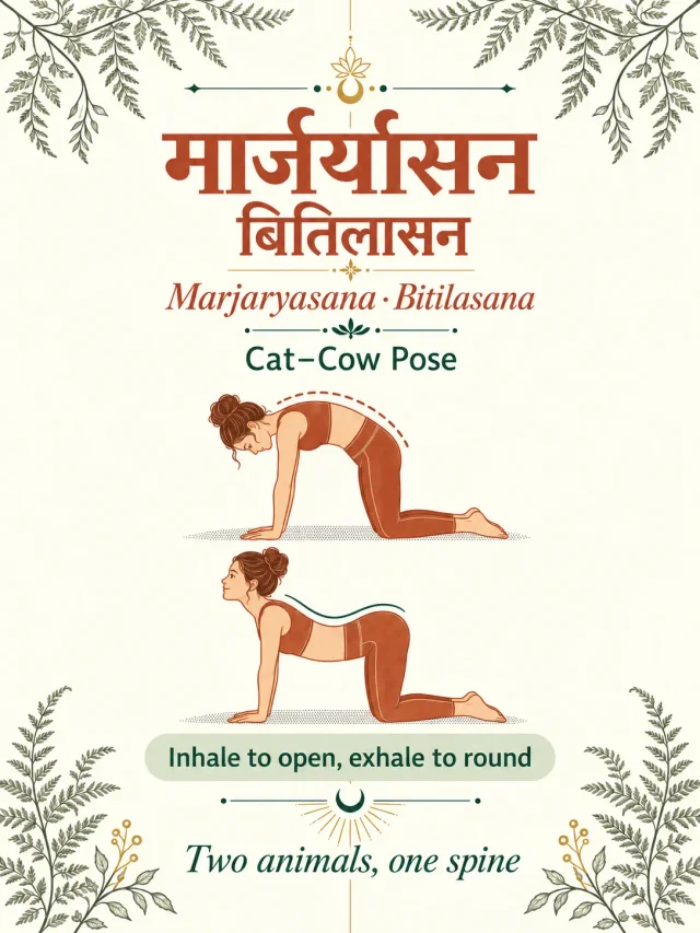 Marjaryasana–Bitilasana — Round and Open