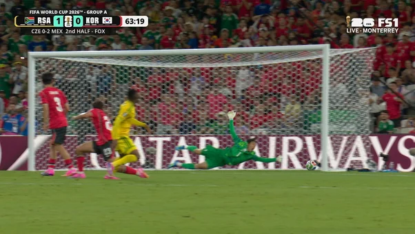South Africa's goal against South Korea