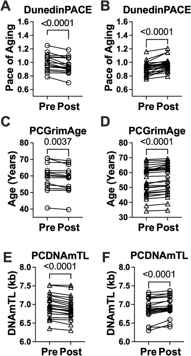 Changes in epigenetic aging biomarkers in the SLIM LIVER semaglutide pilot