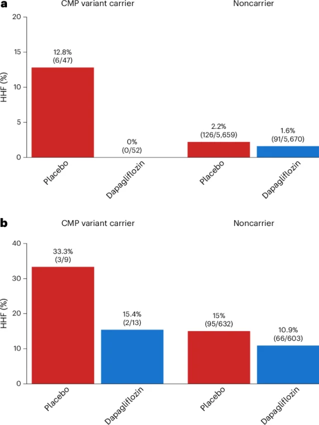 Bar chart: HHF rates by carrier status and treatment arm, panel a (no prior HF history) showing 12.8% placebo vs 0% dapagliflozin in CMP carriers; panel b (prior HF history) showing 33.3% vs 15.4%