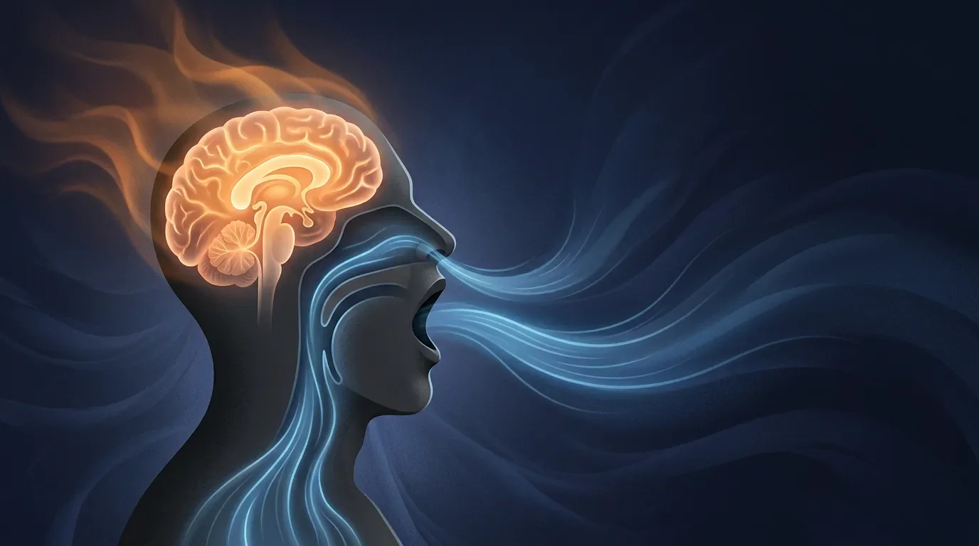 Why do we yawn? It is probably not about oxygen