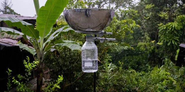 Rainwater collection in Chocó for Bacteria Cloud of Clouds