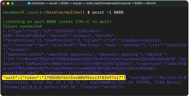 wscat terminal showing a stolen auth token arriving at the attacker's listener