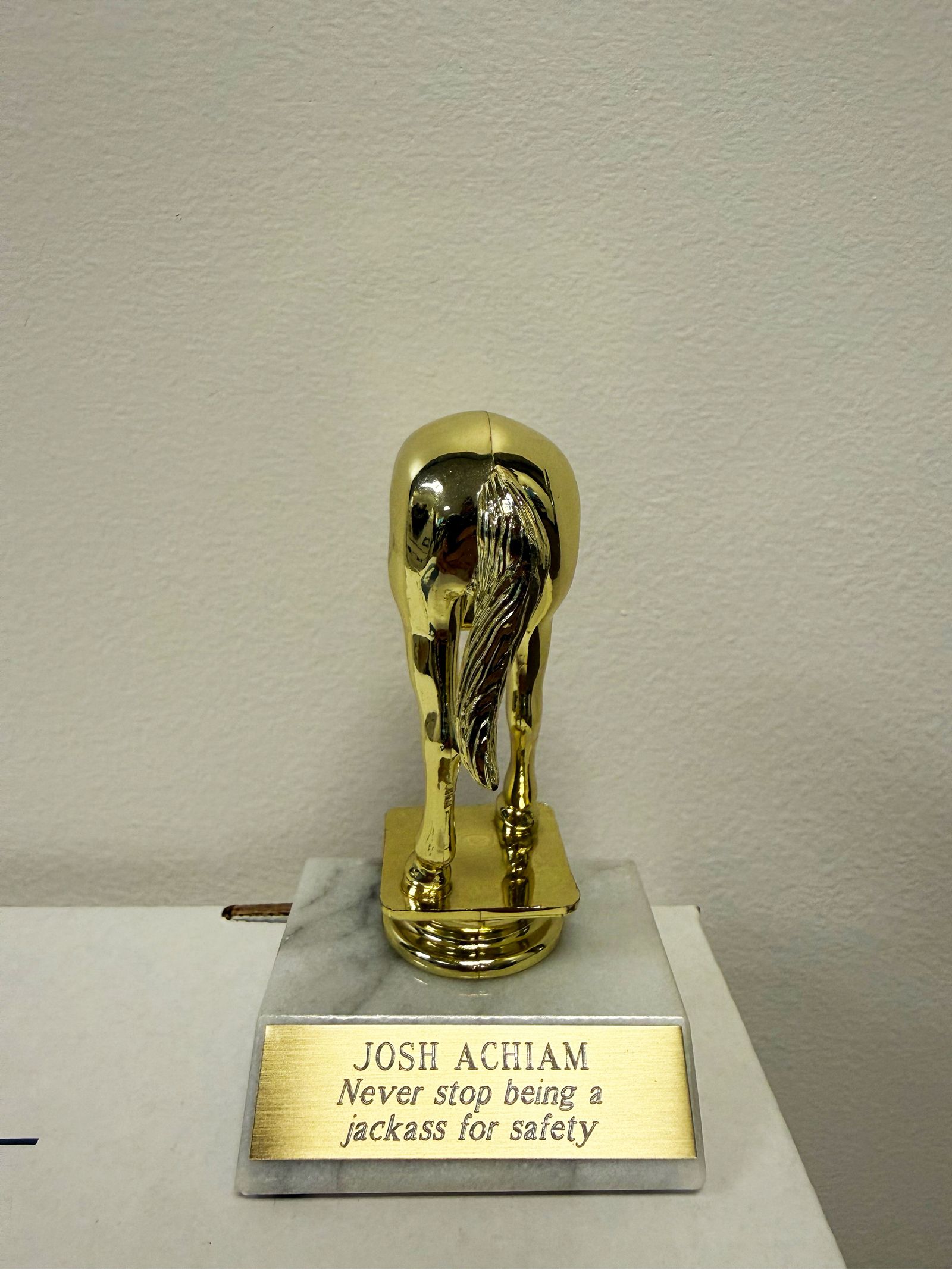 金色驴屁股奖杯,底座刻有「JOSHUA ACHIAM Never stop being a jackass for safety」